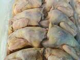Frozen Whole Hen in corrugated box - photo 3