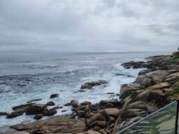 1 Bed Apartment in Bantry Bay