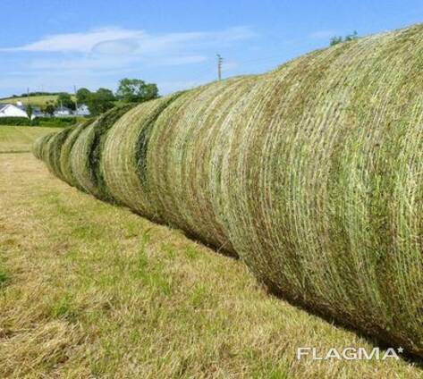 500 Bales of Large Round Mixed Grass