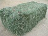 500 Bales of Large Round Mixed Grass - photo 2