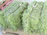 500 Bales of Large Round Mixed Grass - photo 4