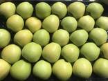 Best apples from Poland wholesale - photo 1