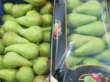 Best pears from Poland wholesale - photo 1