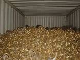 Brass Honey Scrap - photo 2
