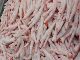 Bulk Frozen Chicken Feet / Chicken Paws For Sale100% Halal Chicken Paws Foot Ready For Exp