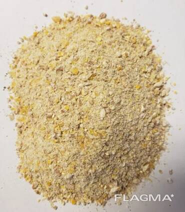 Chick starter mash feeds for sale