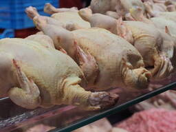 Chicken Drumsticks for sale