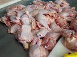Chicken Drumsticks for sale - photo 1