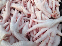 Chicken Gizzards 25 kg for sale
