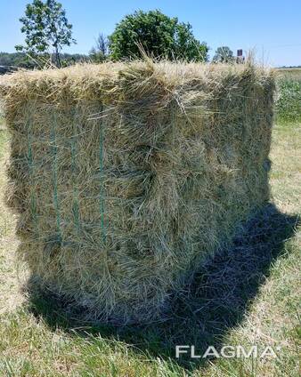 Clover Hay for Sale