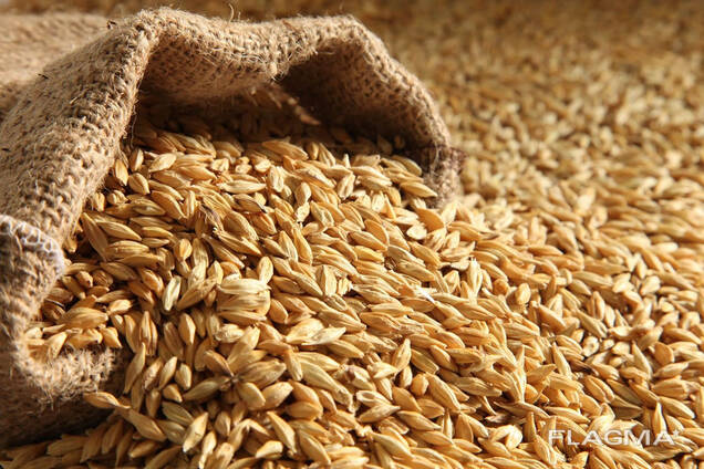 Consumer Barley