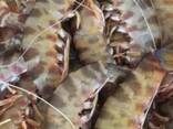 [Fish trawler Ghana], fishtrawler Accra - photo 8