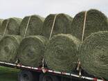Forage and Hay Mixes for Sale - photo 1