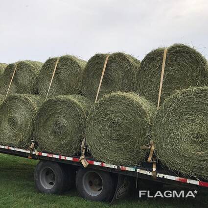 Forage and Hay Mixes for Sale