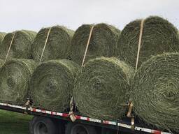 Forage and Hay Mixes for Sale