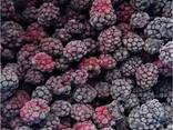 Frozen berries, fruits, berry-fruit and compote mixes. - photo 9