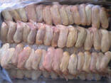 Frozen Chicken Wings for sale - photo 1