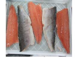 Frozen seafood natural Silversides fish for food