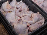 Frozen Whole Chicken — 25 kg - photo 3