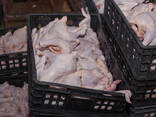 Frozen Whole Chicken — 25 kg - photo 1
