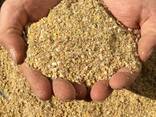 Grower mash for sale - photo 1