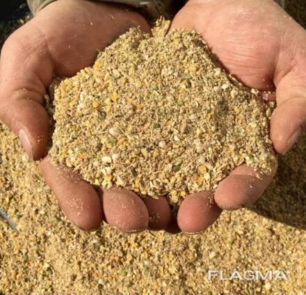 Grower mash for sale