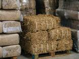 Haylage for Sale - photo 1