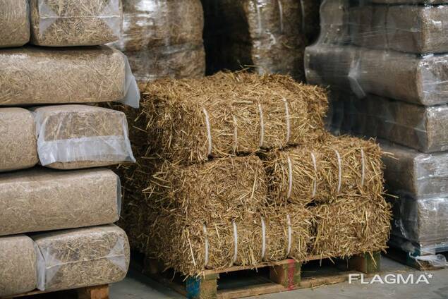 Haylage for Sale