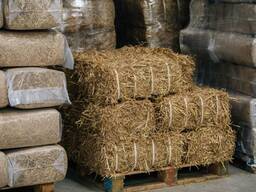 Haylage for Sale