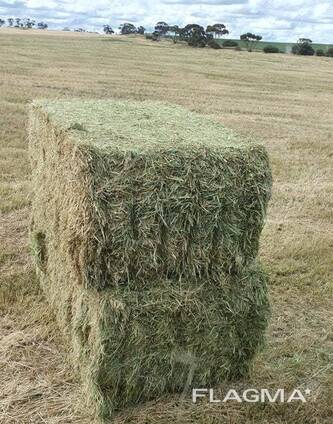 Meadow Hay for Sale