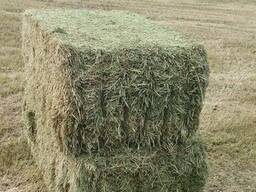 Meadow Hay for Sale