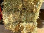 Oat Hay for Sale - photo 1
