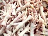 Healthy Chickens Feet Available At Affordable Price - photo 1