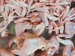 Healthy Chickens Feet Available At Affordable Price - photo 3