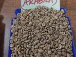 Premium Arabica &amp; Robusta Coffee Beans for Sale - photo 1