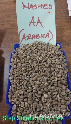 Premium Arabica &amp; Robusta Coffee Beans for Sale