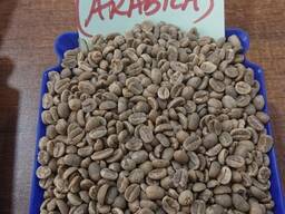 Premium Arabica &amp; Robusta Coffee Beans for Sale