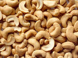 Raw cashew and other nuts for sale - photo 1