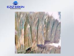 Sorghum for the production of brooms
