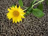 Sunflower husk pellets (sunflower fuel pellets) - photo 1