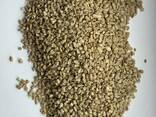 Sunflower Kernel - photo 3