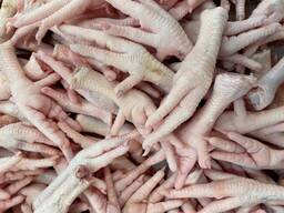 Frozen chickens for sale
