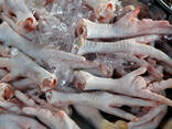 Chicken Gizzards 25 kg for sale - photo 1