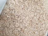 Wheat Bran for Sale - photo 1