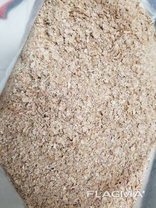 Wheat Bran for Sale