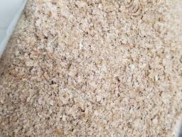Wheat Bran for Sale