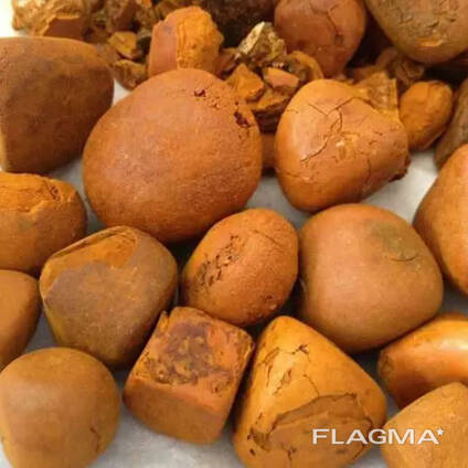Grade A Cow Ox Gallstone for sale in South Africa