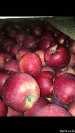 Яблоки apples