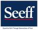 Seeff Property, LLC